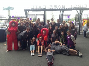 volunteer page option